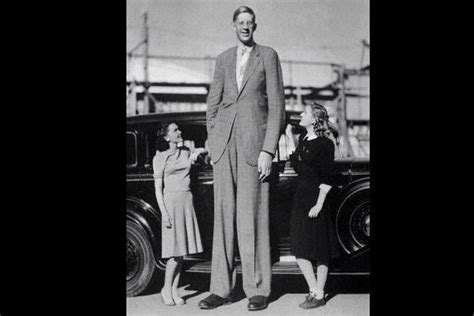 Robert Wadlow El Hombre Más Alto Del Mundo Para La Fecha Medía