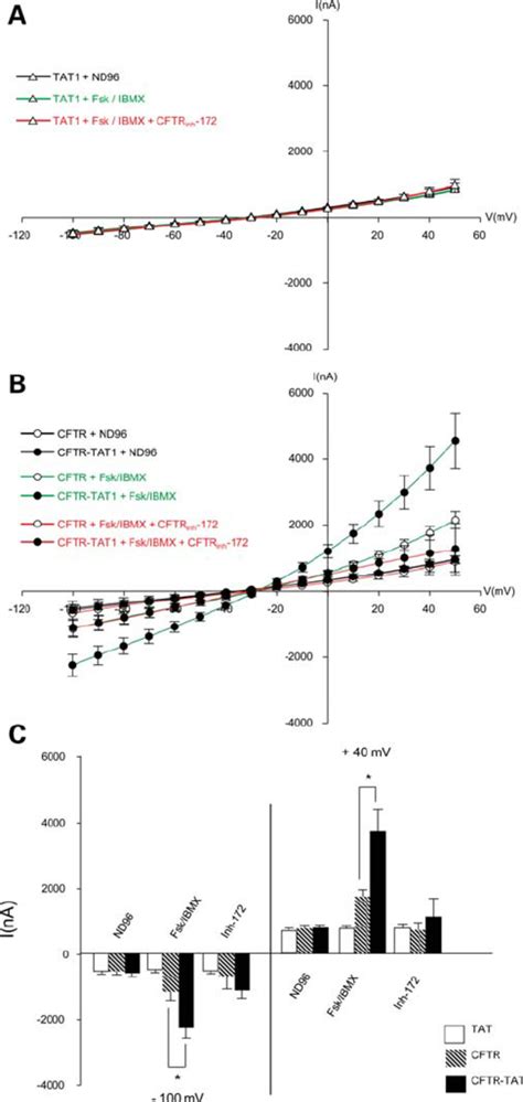 Currentvoltage I V Relationships In X Laevis Oocytes Expressing