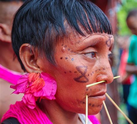 Yanomami entenda o que está acontecendo os povos indígenas