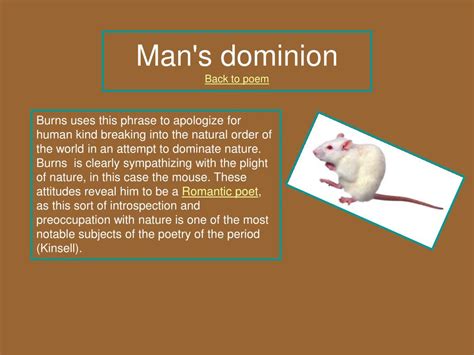 Ppt To A Mouse By Robert Burns Original Version Modern Translation