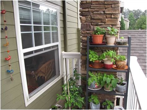 Get Your Balcony A Herb Garden This Spring