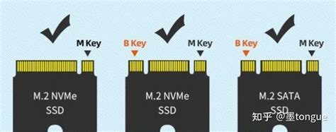 常见固态硬盘接口类型（小白选购必看） 知乎