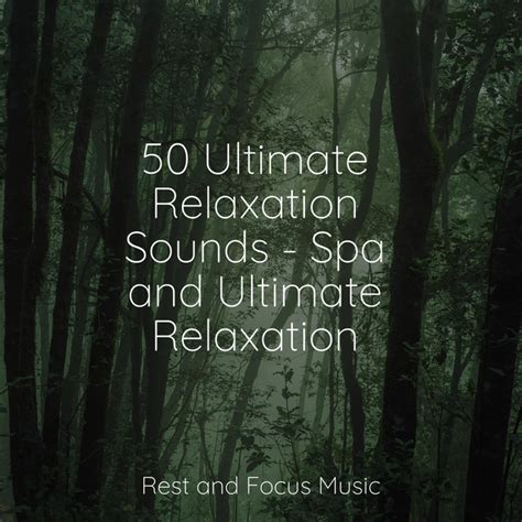 50 Ultimate Relaxation Sounds Spa And Ultimate Relaxation Album By