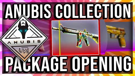 Anubis Collection Package Opening New Cs Go Case Youtube