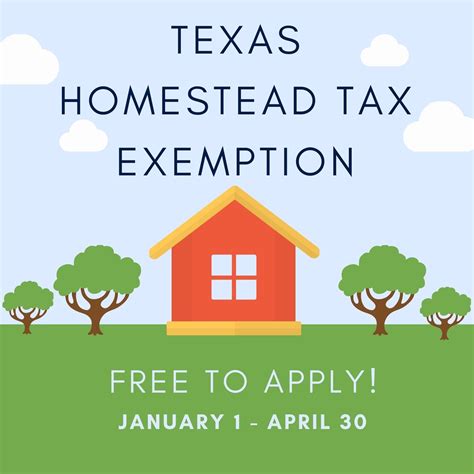 Exploring Homestead Exemption and Its Impact on Property Taxes - BTN Realty