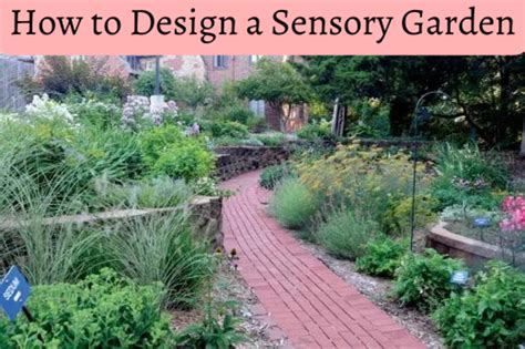 How To Design A Sensory Garden For The Blind Or Visually Impaired Hubpages