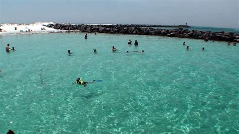 Snorkel and Shelling Photo Gallery - Destin Snorkel