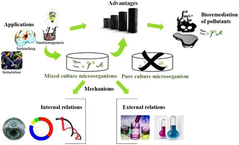 Bioremediation Of Organic Heavy Metal Contaminants By Mixed Cultures Of