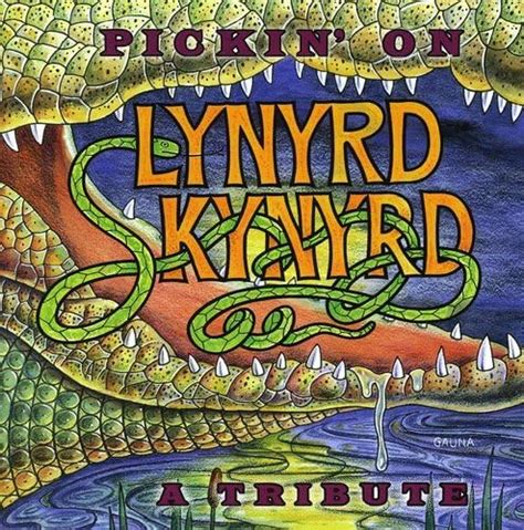 Amazon co jp Pickin On Lynyrd Skynyrd ミュージック