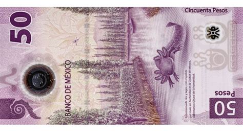 Ofrecen más de 750 mil pesos al dueño del billete de 50 pesos con el