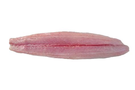 Spanish Mackerel Sierra Fillet | Netuno USA | Seafood Wholesale