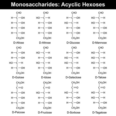 Monosaccharide Stock Vectors Royalty Free Monosaccharide Illustrations Depositphotos®