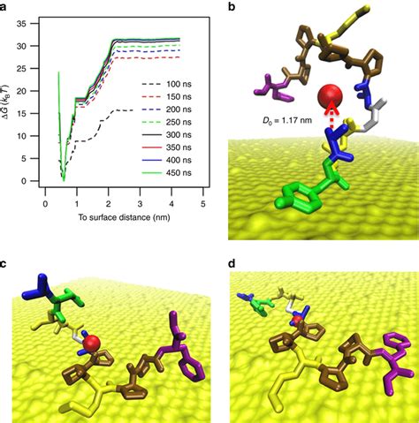 Molecular Dynamics Simulation A The Calculated Potential Of Mean Force