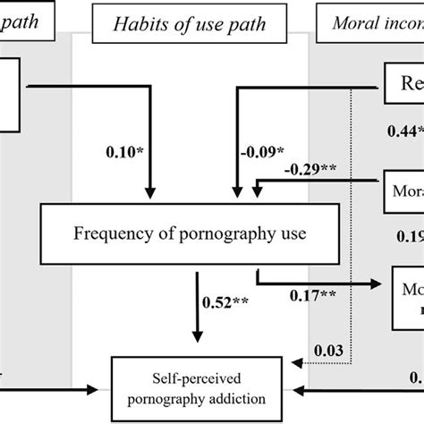 Path Analysis Evaluating The Pornography Problems Due To Moral