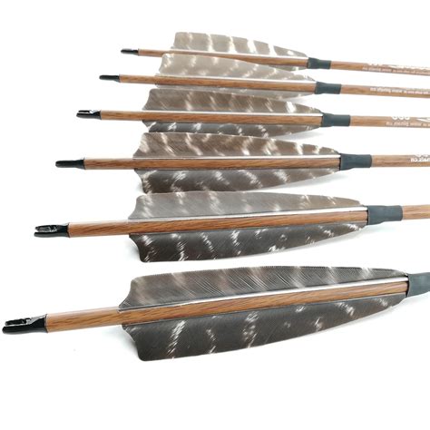 Pinals Archery Spine Carbon Arrows Turkey Feathers