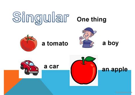 Singular And Plural English ESL Powerpoints