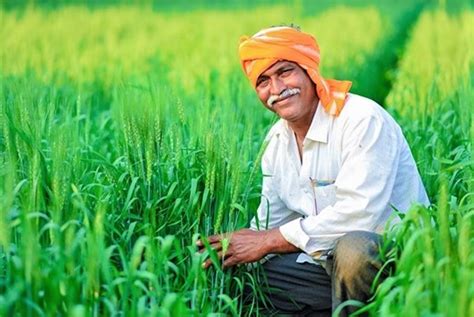 Pm Kisan Update Rs Crore Transferred To Over Lakh Farmers In