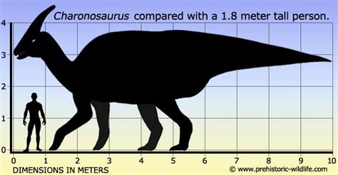 Charonosaurus Pictures & Facts - The Dinosaur Database