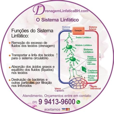 O que é Drenagem Linfática? Quais são seus Benefícios? | Drenagem ...