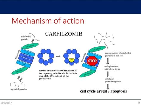 Carfilzomib in multiple myeloma