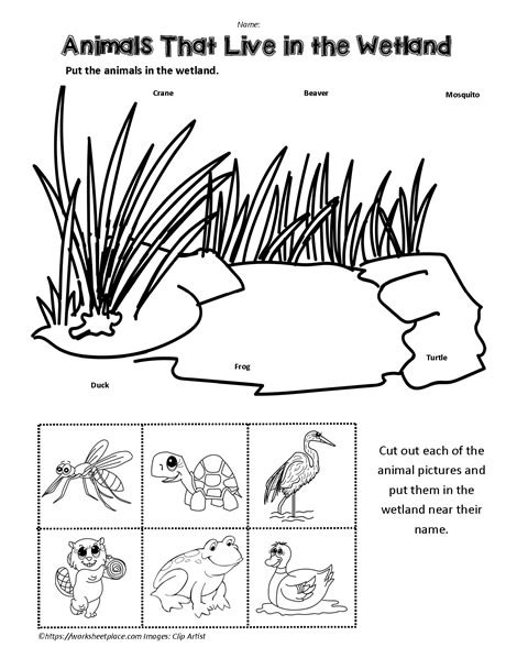 Wetland Animals Worksheet Worksheets