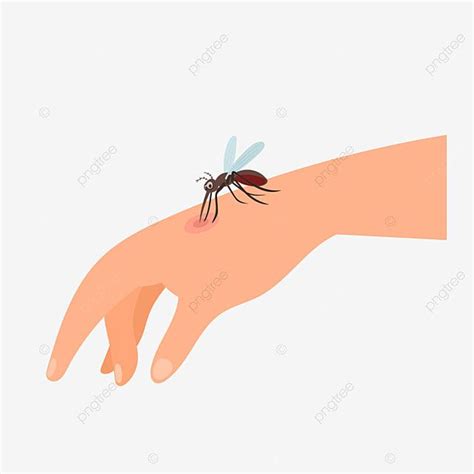 Malaria Mosquito Bite Vector Hd Images, Mosquitoes Transmit Malaria ...