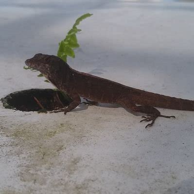 Motley Monroe On Twitter Miami Is Hot MiamiHeat Miami Https T Co QhAQcYDHKM Twitter