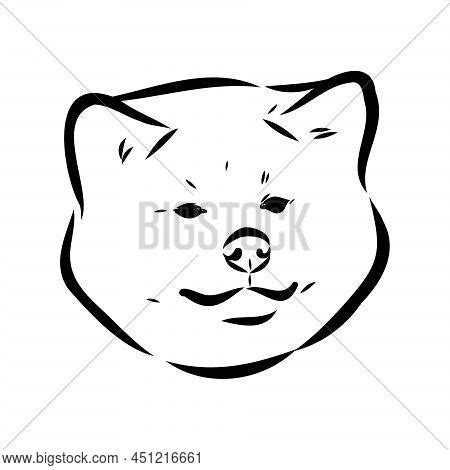 Akita Dog Face - Vector & Photo (Free Trial) | Bigstock