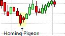 homing pigeon pattern chart formations