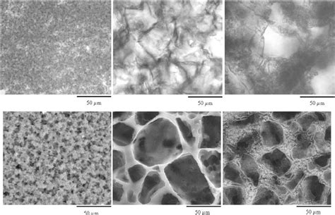 Morphology Of Macroporous Hydrogels Monitored By Light Microscopy Top