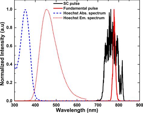 10 The Absorption And Emission Spectra Of Hoechst Stain Are Shown In