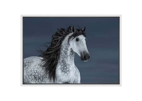 Transform Your Space with Horse Canvas Wall Art Print – Final Touch Decor