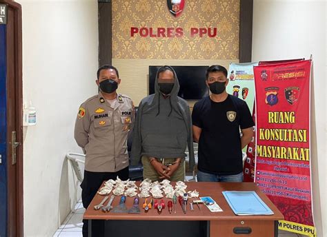 Beraksi Di 11 Lokasi Akhirnya Spesialis Pencurian Sarang Walet