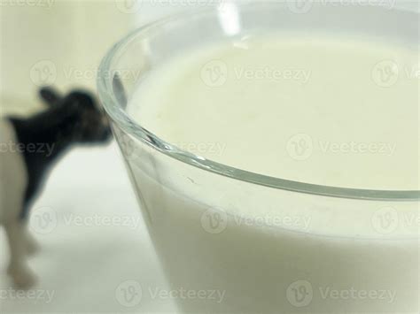 cow and milk for world milk day photo 8011797 Stock Photo at Vecteezy