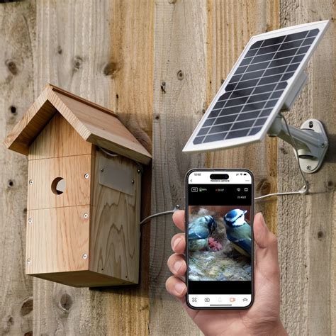 Solar Powered Battery Wi Fi Bird Box Camera System One Stop Nature