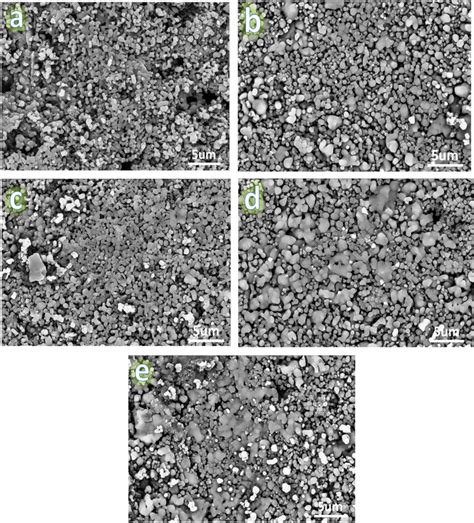 Sem Micrographs Of All Sintered Nanocomposites Samples At X