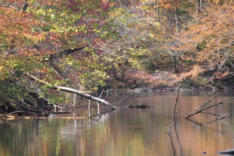 The Hidden Lake Of Jenkins