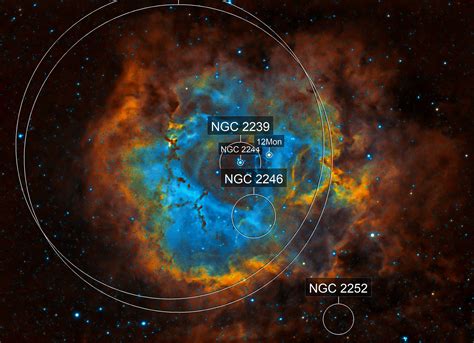 Rosette Nebula Hubble Palette Derek Foster AstroBin