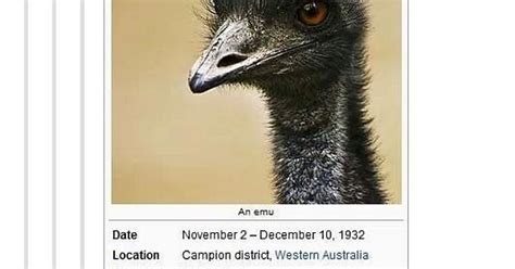 The Emu War Memes Album On Imgur