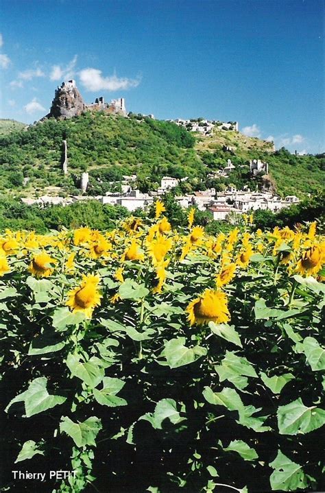 Photo à Rochemaure 07400 Le village et son Château Rochemaure