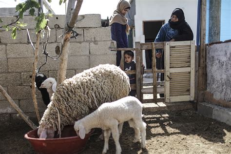 إنعدام الأمن الغذائي في الأرض الفلسطينية المحتلة 13 مليون فلسطيني في