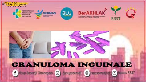 Granuloma Inguinale Rsup Dr Soeradji Tirtonegoro