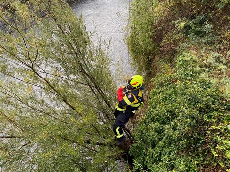 Stadt Chur Gr Feuerwehr Rettet Katze Polizei News