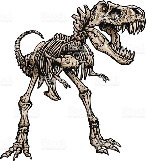 Dinosaur Bones Clipart | Free download on ClipArtMag