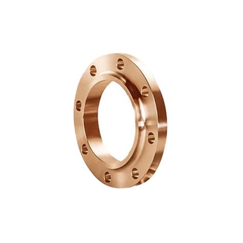 Copper Alloy Flange At 500 00 INR In Mumbai Maharashtra Pragati