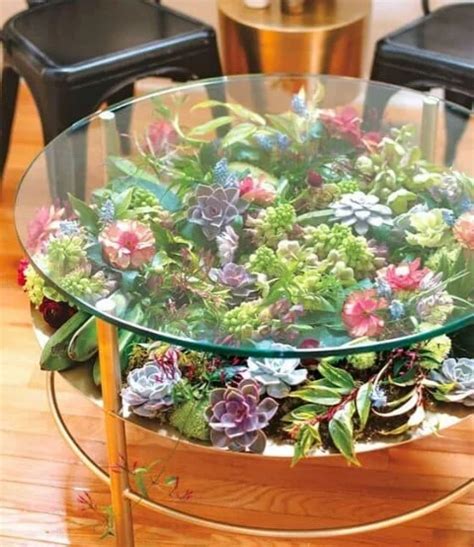 People Are Turning Glass Tables Into Giant Succulent Gardens Terrarium