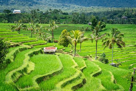 Rekomendasi 10 Tempat Wisata Di Tabanan Info Seputar Bali