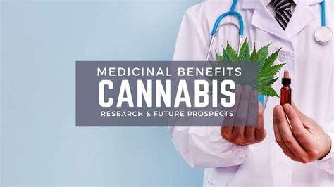 Medicinal Benefits of Cannabis: Current Research and Future Prospects ...