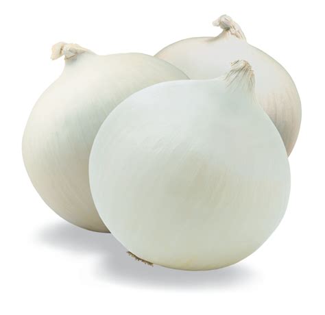 Onion Varieties Images at Naomi Cooke blog