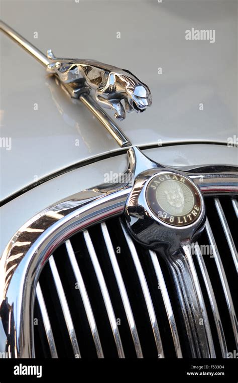 Jaguar Vintage Car, Hood Ornament Stock Photo - Alamy